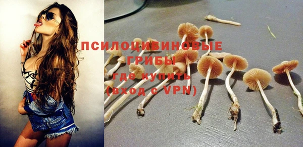гидропоника Семикаракорск