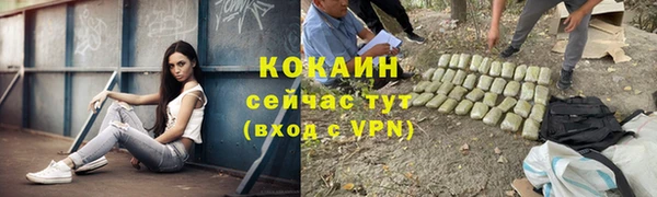 прущие крисы Алексеевка